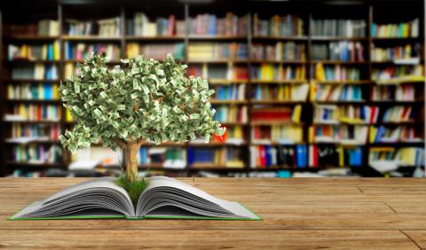 Money tree growing out of a book in a library setting.