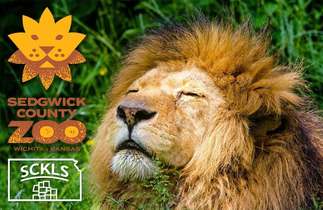 Lion with Sedgwick County Zoo and SCKLS logos